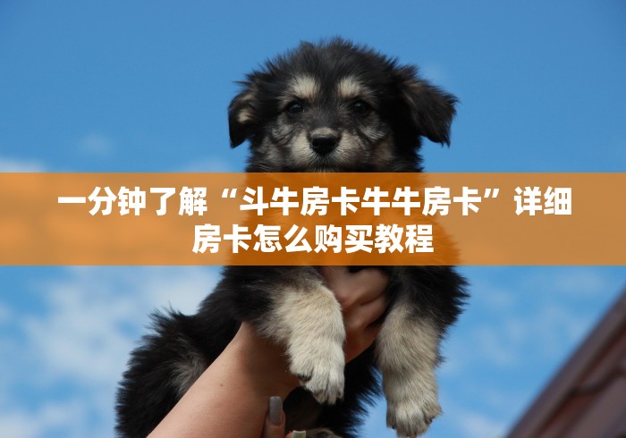 分享实测“微信炸 金花链接房卡”详细房卡使用教程