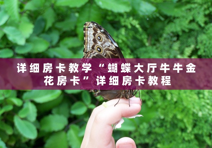 详 细 房 卡 教 学 “ 蝴 蝶 大 厅 牛 牛 金 花 房 卡 ” 详 细 房 卡 教 程 详 细 房 卡 教 学 “ 蝴 蝶 大 厅 牛 牛 金 花 房 卡 ” 详 细 房 卡 教 程