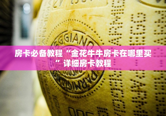 房卡必备教程“金花牛牛房卡在哪里买”详细房卡教程