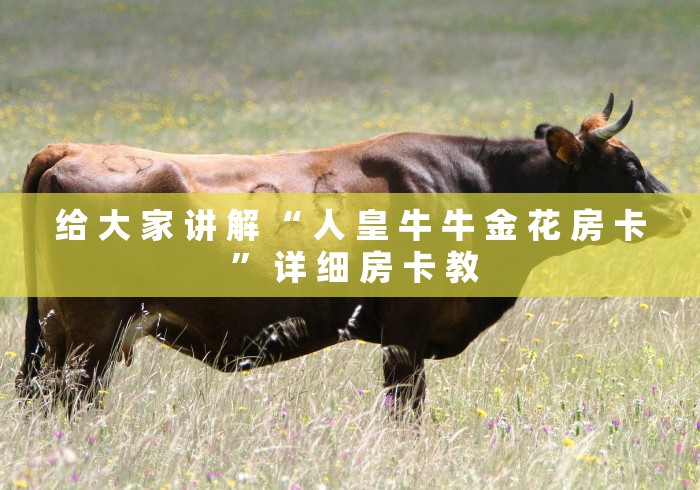 给 大 家 讲 解 “ 人 皇 牛 牛 金 花 房 卡 ” 详 细 房 卡 教 给 大 家 讲 解 “ 人 皇 牛 牛 金 花 房 卡 ” 详 细 房 卡 教