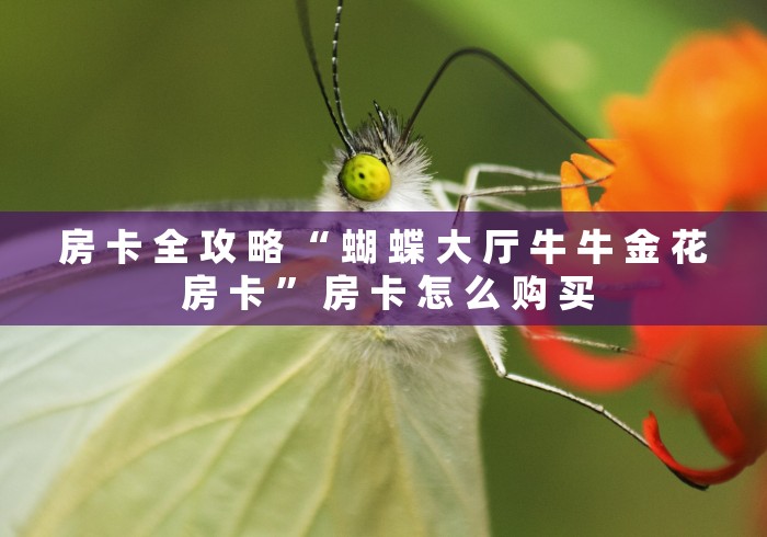 房 卡 全 攻 略 “ 蝴 蝶 大 厅 牛 牛 金 花 房 卡 ” 房 卡 怎 么 购 买	