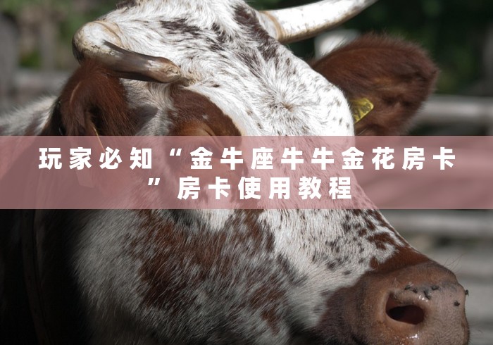 玩 家 必 知 “ 金 牛 座 牛 牛 金 花 房 卡 ” 房 卡 使 用 教 程	