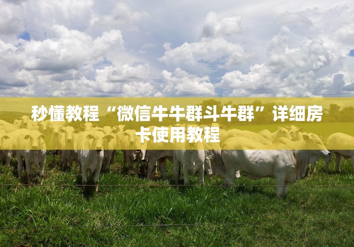 秒懂教程“微信牛牛群斗牛群”详细房卡使用教程