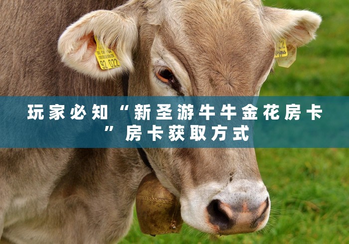 玩 家 必 知 “ 新 圣 游 牛 牛 金 花 房 卡 ” 房 卡 获 取 方 式	