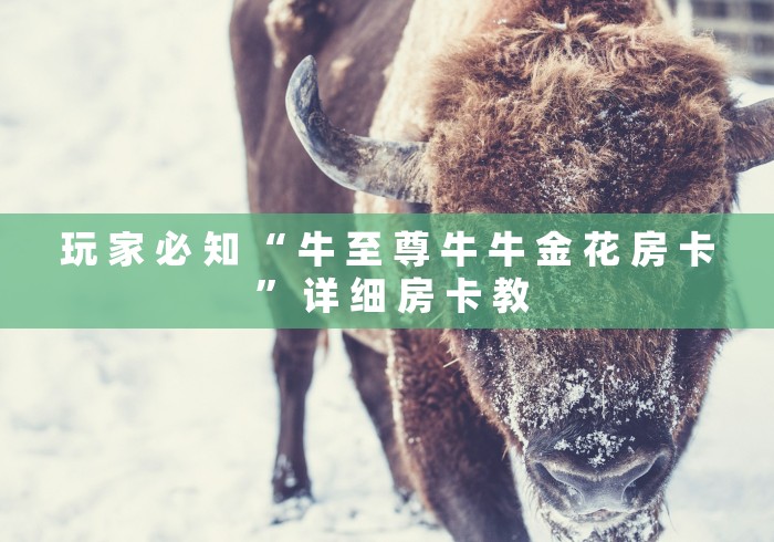 玩 家 必 知 “ 牛 至 尊 牛 牛 金 花 房 卡 ” 详 细 房 卡 教 玩 家 必 知 “ 牛 至 尊 牛 牛 金 花 房 卡 ” 详 细 房 卡 教