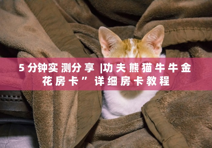 5 分钟实 测分 享  |功 夫 熊 猫 牛 牛 金 花 房 卡 ” 详 细 房 卡 教 程	