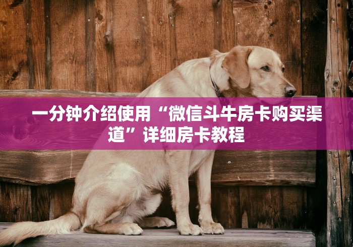 一分钟介绍使用“微信斗牛房卡购买渠道”详细房卡教程
