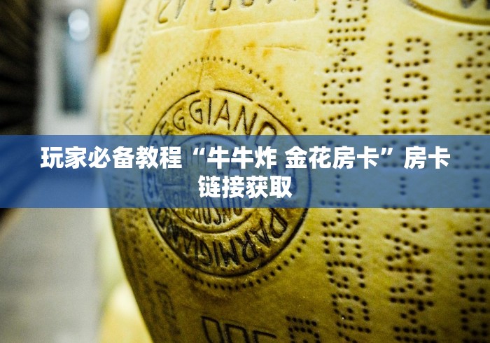 玩家必备教程“牛牛炸 金花房卡”房卡链接获取