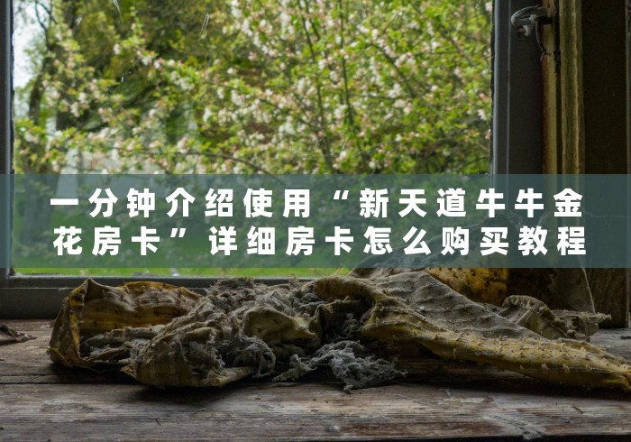 一 分 钟 介 绍 使 用 “ 新 天 道 牛 牛 金 花 房 卡 ” 详 细 房 卡 怎 么 购 买 教 程	